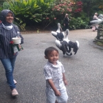 Suasana Taman Wisata dan Taman Satwa Lembah Hijau Lampung yang sejuk dan asri membuat pengunjung bisa bersantai melihat berbagai satwa. Salah satunya seperti melihat burung pelikan ini. Seru bukan?