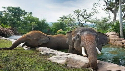 Taman Wisata dan Taman Satwa Lembah Hijau Lampung
