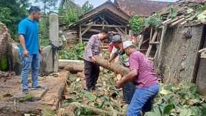Angin Kencang Terjang Pringsewu