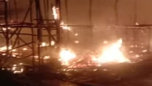 Kandang Ayam di Lampung Timur Terbakar