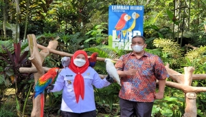 Wali Kota Bandar Lampung Eva Dwiana bersama Komisaris Lembah Hijau M. Irwan Nasution berfoto bersama burung di area Bird Park