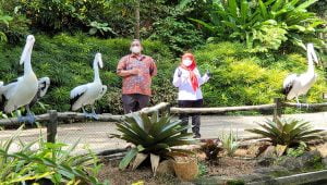 Wali Kota Bandar Lampung Eva Dwiana bersama Komisaris Lembah Hijau M. Irwan Nasution berfoto bersama burung di kolam burung pelikan