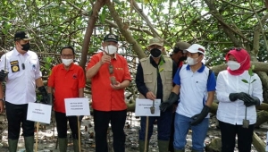 Ketua Komisi IV DPR Sudin Tanam Mangrove di Pesawaran Lampung