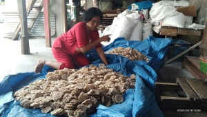 Produksi Kerupuk di Lampung Timur