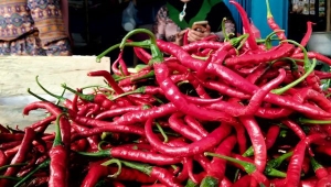 Cabai Merah
