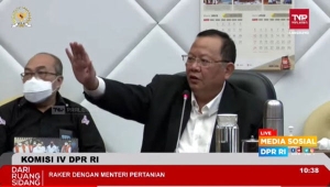 Ketua Komisi IV DPR Sudin
