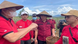 Ketua Komisi IV DPR Sudin