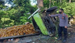 Truk muatan 8 ton minyak goreng terguling di Lampung