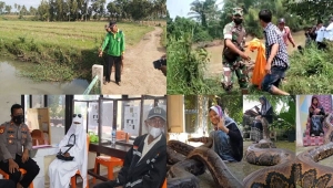 Berita Terpopuler Lampung77