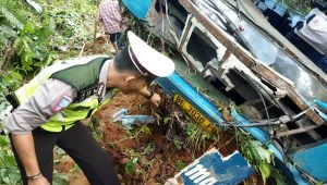 Kecelakaan bus masuk jurang di Pesisir Barat Lampung