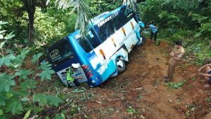 Kecelakaan maut bus masuk jurang 50 meter di Bengkunat, Pesisir Barat, Lampung