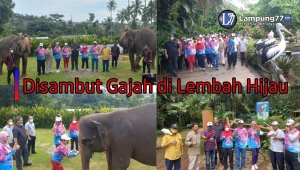 Lembah Hijau