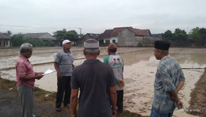 Desa Braja Sakti Lampung Timur