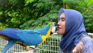 Wisata Lembah Hijau Lampung