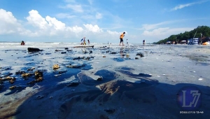 Limbah minyak di Pantai Lampung Timur