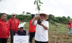 Ketua Komisi IV DPR Sudin