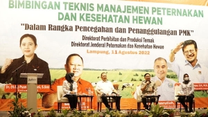 Ketua Komisi IV DPR RI Sudin