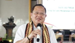 Anggota DPR RI Sudin