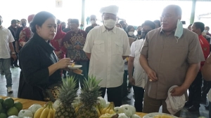 Puan Maharani tinjau industri nanas olahan PT GGPC di Lampung