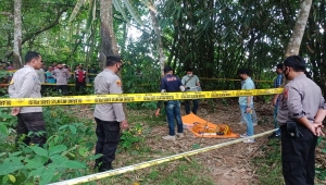 Mayat gadis di kebun karet Pesawaran Lampung