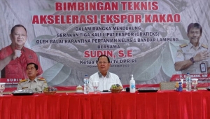 Ketua Komisi IV DPR Sudin