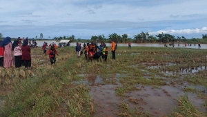 Banjir Lampung Selatan
