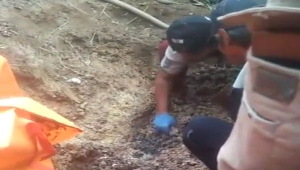 Evakuasi jasad korban pembunuhan di Way Kanan
