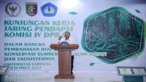 Ketua Komisi IV DPR Sudin