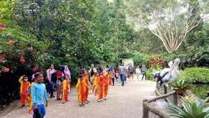 Wisata Edukasi di Lembah Hijau Lampung