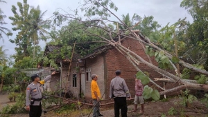 Puting beliung di Pringsewu Lampung