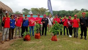Kader PDIP menanam pohon di Pringsewu