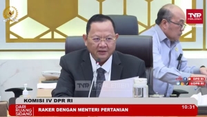 Ketua Komisi IV DPR Sudin