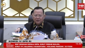 Ketua Komisi IV DPR Sudin