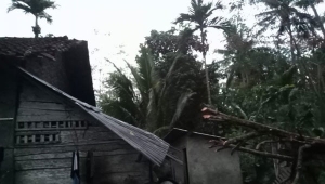 Puting beliung landa Tanggamus