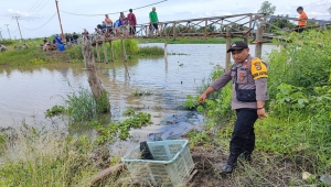 Remaja di Lampung hilang diseret buaya