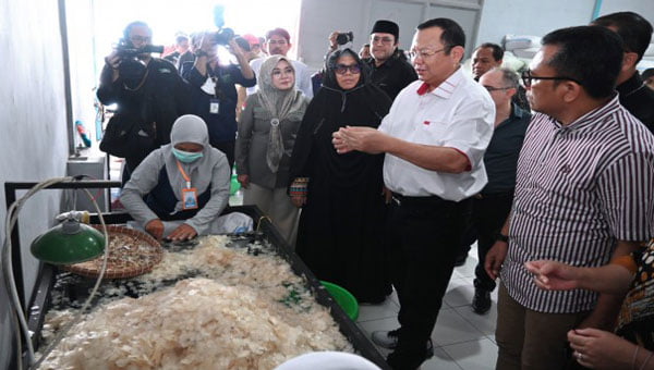 Sisik ikan diolah jadi kolagen