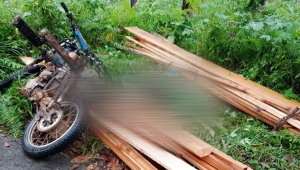 Warga Tanggamus Tewas Tertimpa Kayu