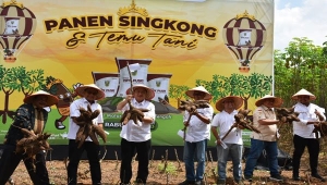 Ketua Komisi IV DPR Sudin
