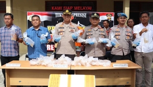 Penyelundupan 6.000 benih lobster di Lampung