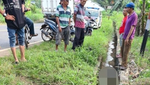 Kecelakaan Lampung Timur