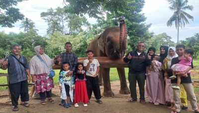Di Taman Wisata dan Taman Satwa Lembah Hijau Lampung pengunjung juga bisa berfoto dengan gajah lho.