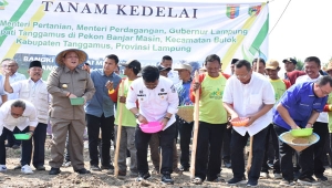 Ketua Komisi IV DPR Sudin