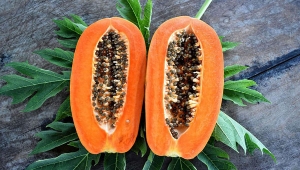 Pepaya