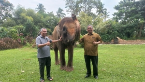 Wali Kota Tangsel Benyamin Davnie kunjungi Lembah Hijau Lampung