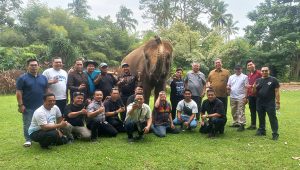 Momen Wali Kota Tangsel Benyamin Davnie beserta jajarannya dan Komisaris Lembah Hijau Lampung berfoto dengan gajah
