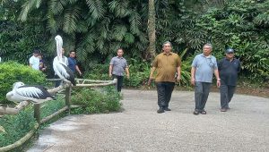 Wali Kota Tangsel Benyamin Davnie kunjungi Taman Satwa Lembah Hijau lampung