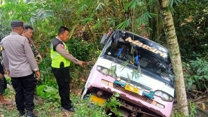 Bus masuk jurang di Lampung Selatan