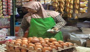 Pedagang telur di Bandar Lampung