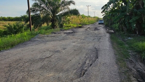 Jalan Mesuji Lampung rusak parah