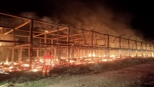Kebakaran kandang ayam di Pringsewu Lampung